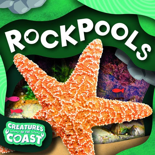 Rockpools