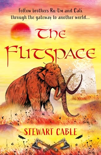 The Flitspace