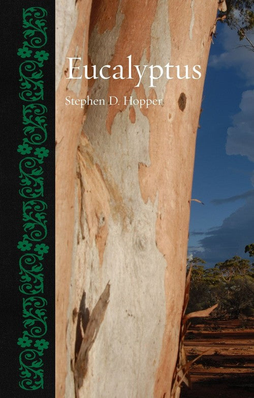 Eucalyptus