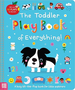 The Toddler Play Book of Everything! 