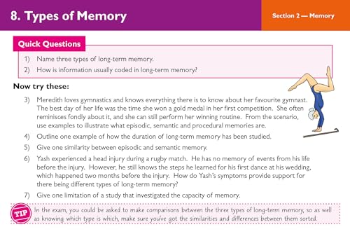 A-Level Psychology AQA Revision Question Cards (For exams in 2026)