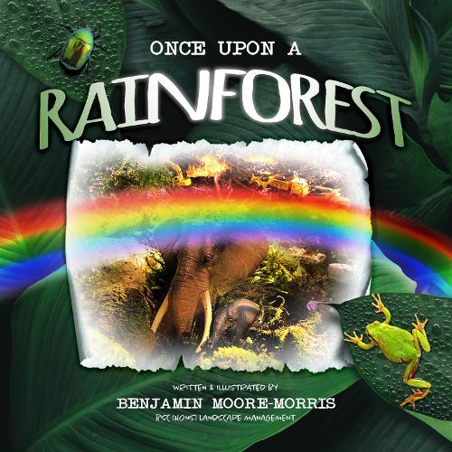 Once upon a Rainforest
