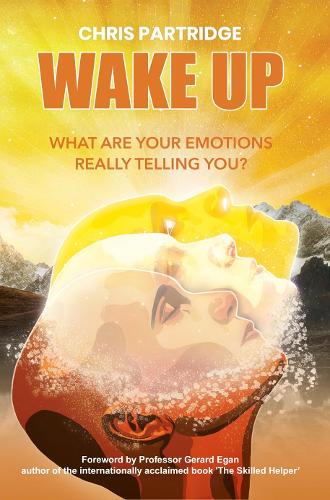 Wake Up - What Are Your Emotions Really Telling You?
