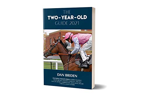 The Two-Year-Old Guide 2021