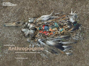 Surveying the Anthropocene: 