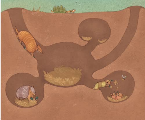 Annie the armadillo