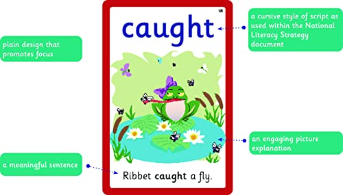 Common Exception Words Flash Cards: Year 3 and Year 4 Words - Perfect for Home Learning - with 106 Colourful Illustrations