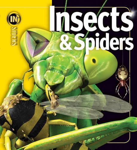 Insects and Spiders