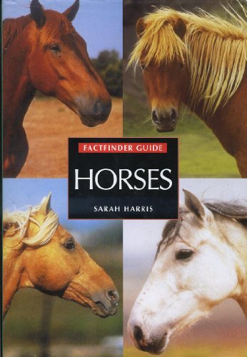 Horse Breeds
