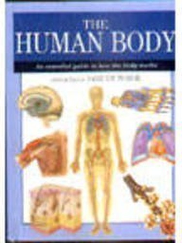 The Human Body
