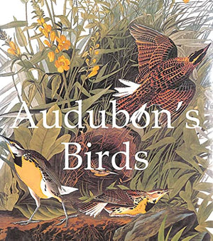 Audubon's Birds (Mega Squares)