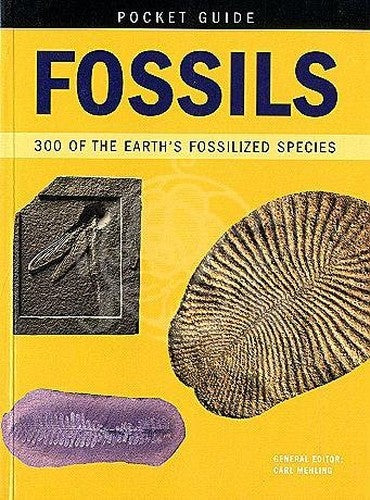 Fossils