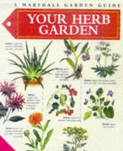Your Herb Garden