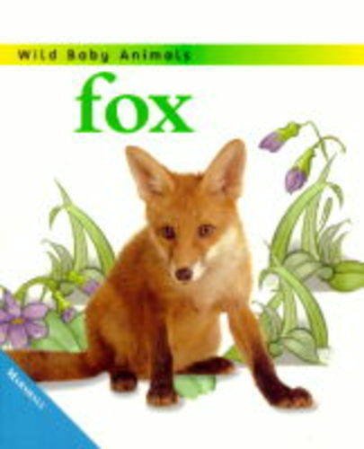 Fox Cub