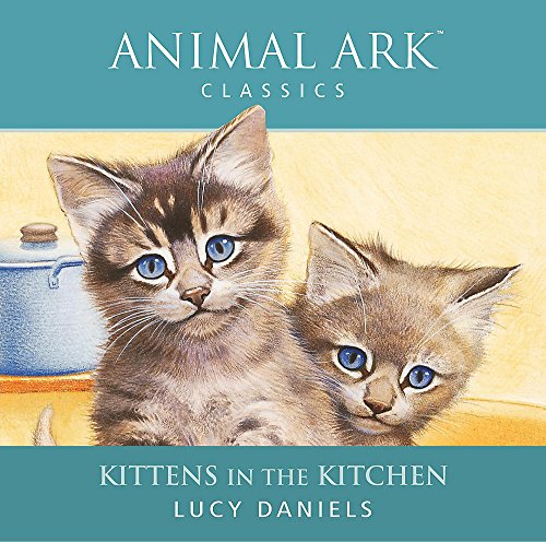 Kittens in the Kitchen