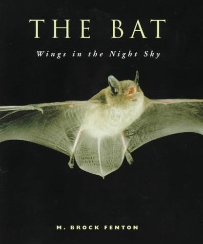 The Bat