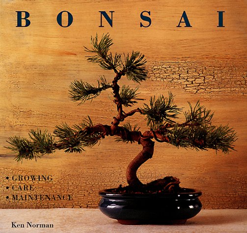 Create Your Own Bonsai