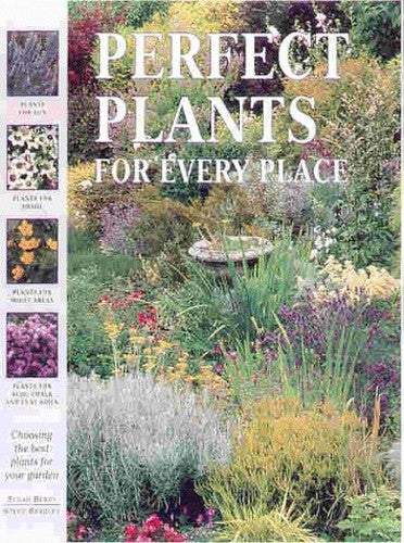 Choosing the Perfect Plant