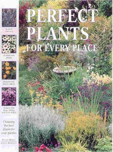 Choosing the Perfect Plant 