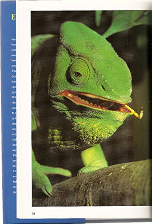 Encyclopaedia of Terrarium