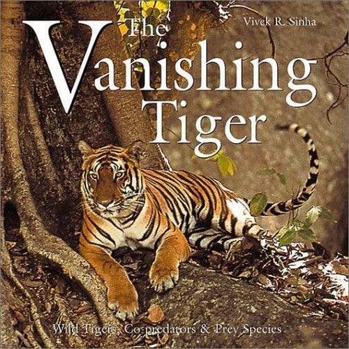 VANISHING TIGER