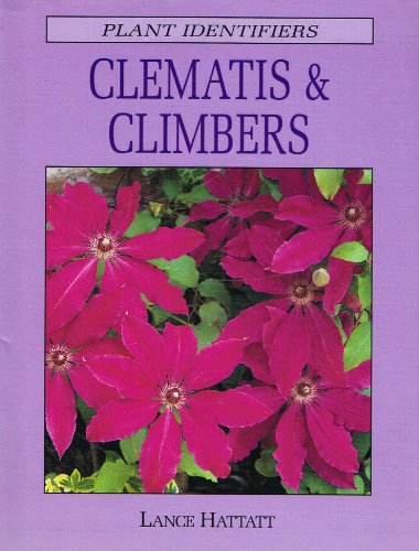 Clematis and Climbers