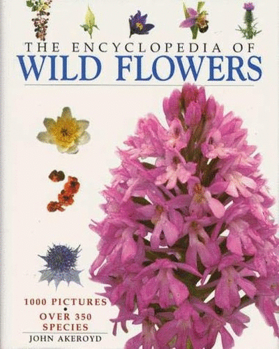 Wild Flowers