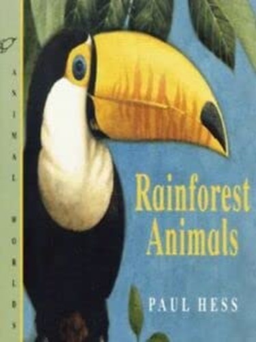 Rainforest Animals