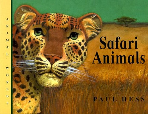 Safari Animals