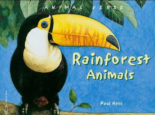Rainforest Animals