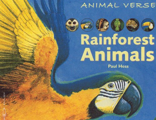 Rainforest Animals