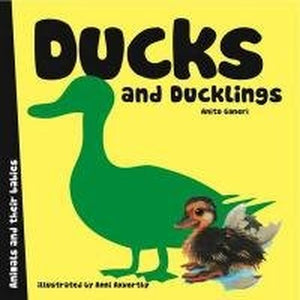 Ducks & Ducklings