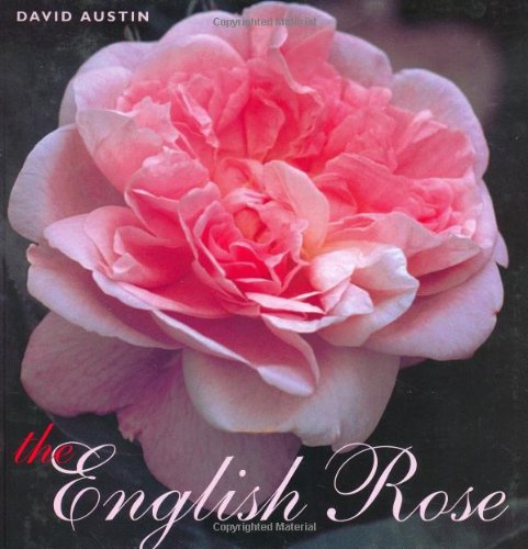 The English Rose