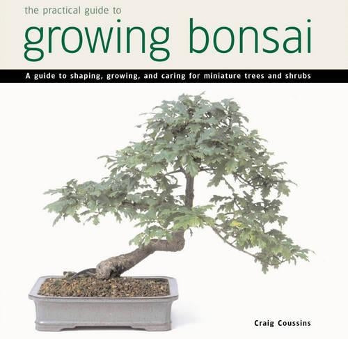 Practical Guide to Growing Bonsai