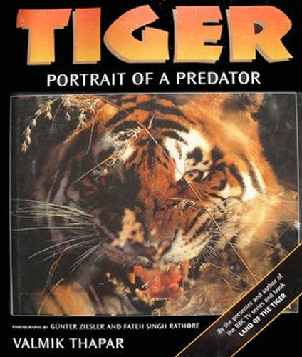 Tiger: Portrait of a Predator