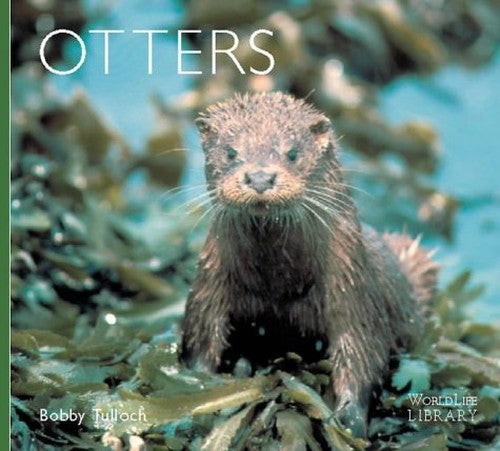Otters