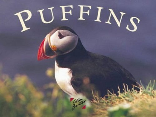 Puffins