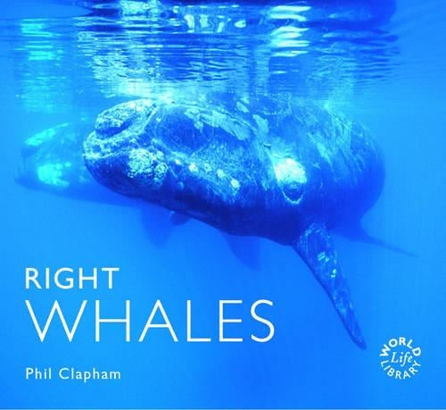 Right Whales