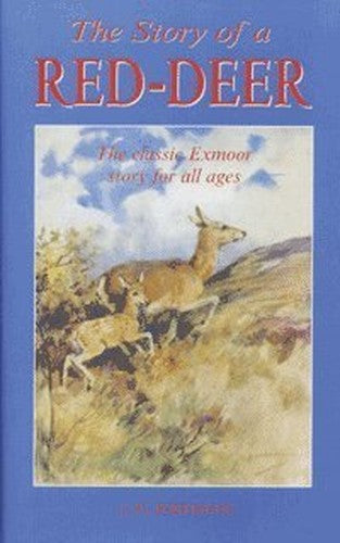 The Story of a Red Deer