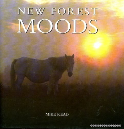 New Forest Moods