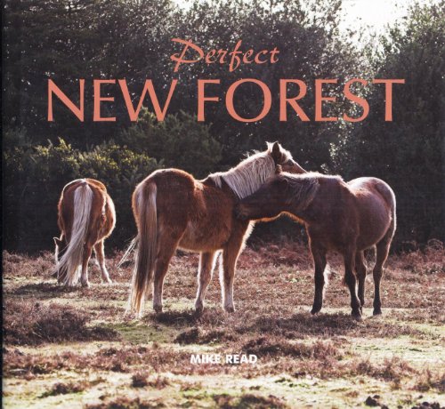 Perfect New Forest