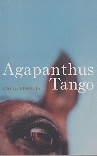 Agapanthus Tango