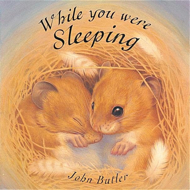 While You Were Sleeping