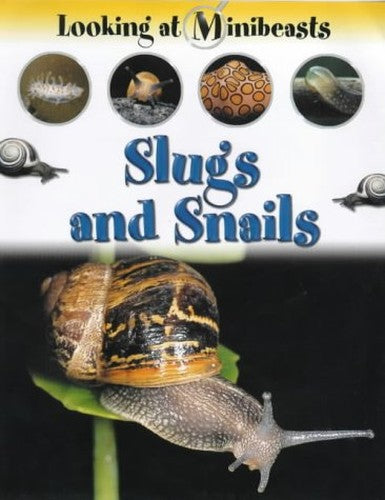MINIBEASTS SLUGS & SNAILS