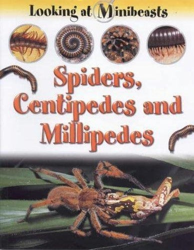 MINIBEASTS SPIDERS & CENTIPEDES