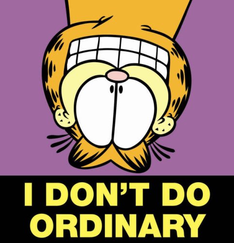 I Don't Do Ordinary