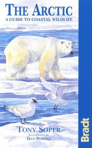 The Arctic