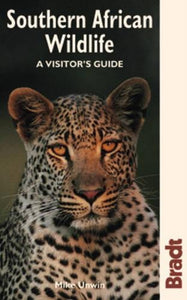 Southern African Wildlife 