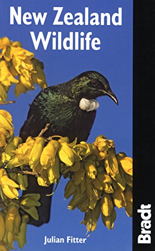 New Zealand Wildlife
