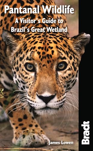 Pantanal Wildlife